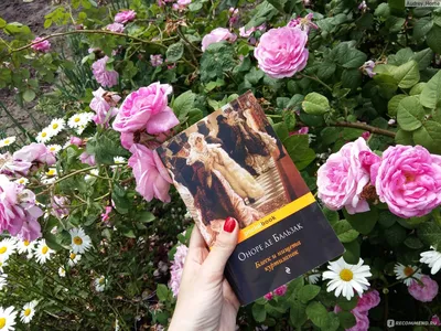 Троянди з трояндового | Оноре де Бальзак