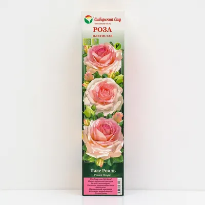 Искусственный цветок для декора Роза Пале-Рояль ветвь нежно-розовая TREEZ  Collection Купить в Москве | Бережная Доставка | Five Market