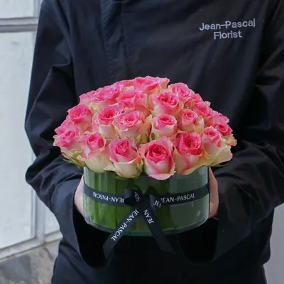 Роза чайно-гибридная Паскаль в тубе Поиск Инвест по цене 577 ₽/шт. купить в  Кемерове в интернет-магазине Леруа Мерлен