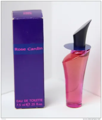 Monte Rosa Ball Point Pen by pierre cardin PARIS | Blue Ink – Adriti's Home