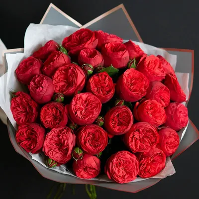 Red Piano | Red Garden Rose - Rosas del Corazón