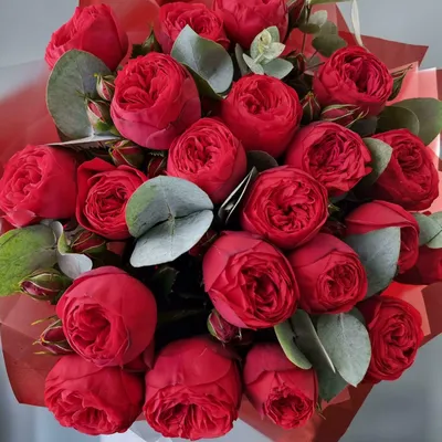 RED PIANO - Long stem 50cm Roses 30 pcs – THE SCARLET FLOWER