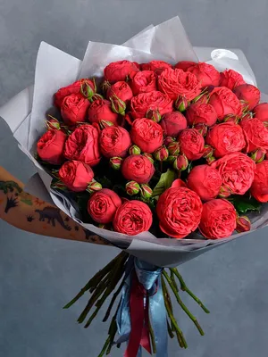Букет из кустовой розы Ред Пиано | купить недорого | доставка по Москве и  области
