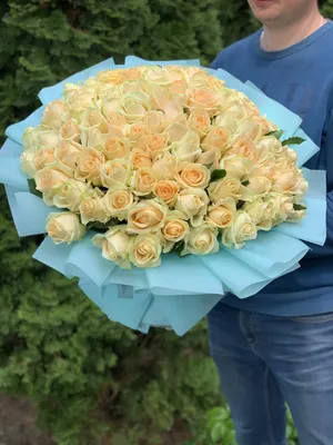 21 роза Пич аваланш 60 см (Peach Avalanche) 50 см | купить недорого |  доставка по Москве и области