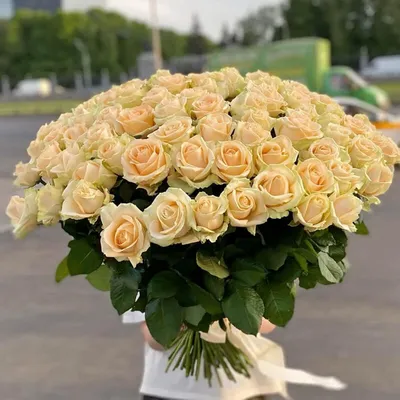 Пич Аваланч 80 см купить в Киеве: цена, заказ, доставка | Магазин «Камелия»