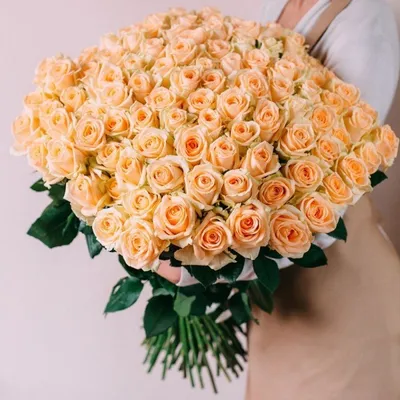 Роза Пич Аваланч
