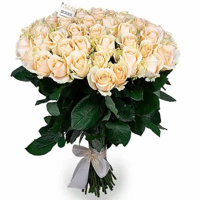 Роза Пич Аваланч с доставкой в Киеве — Доставка цветов Киев - Loveflowers