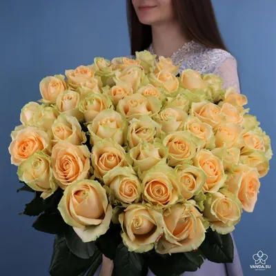 Роза Пич Аваланч купить по цене 49 грн | Украфлора