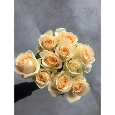 ROYAL Flowers - «Пич Аваланч» 50 см 101 Роза 1750 гривен 51 Роза 950 гривен  Доступна к заказу в Киеве | Facebook