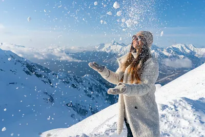 Роза пик в Краснодарском крае — фото, описание на GoRu