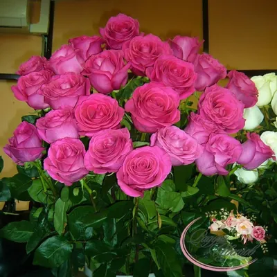 Hot Pink Roses (25 stems) – Growers Direct Flowers