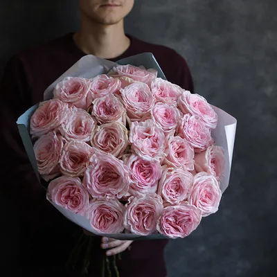 Роза Pink O'Hara (Пинк Охара) – купить саженцы роз в питомнике в Москве