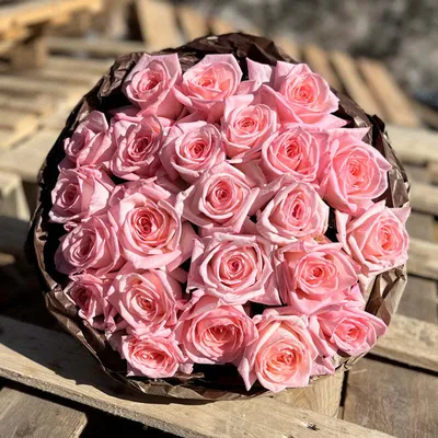 Pink O'Hara® Rose Bush | Grace Rose Farm – Grace Rose Farm (Rose Bushes)