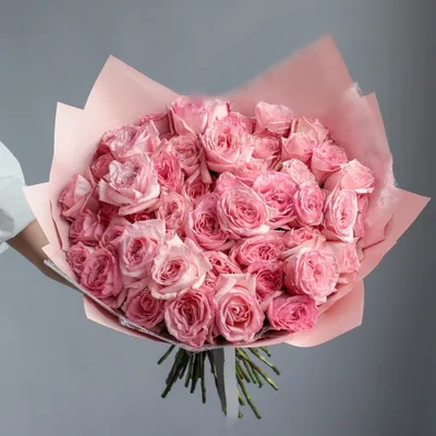 Пинк Охара(Pink O'Hara) - Розы Премиум Класса - Розы - Каталог