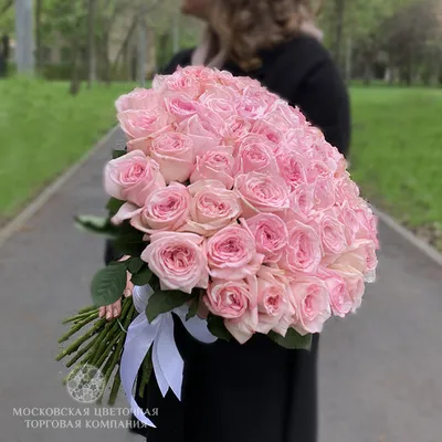Pink O'hara - Kampong Flowers