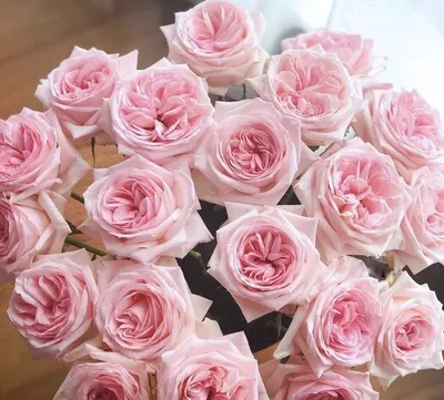Пионовидные розы Pink O'Hara — купить в Москве - Цветочная Лавка Расцветай
