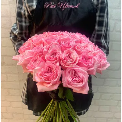 Rose 'pink O'hara' 粉荔枝 1 Gal Live Plant Shrub Rose - Etsy