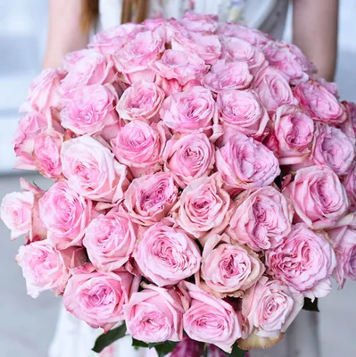 Роза Пинк Охара, 50 см - заказать и купить цветы с доставкой | Donpion