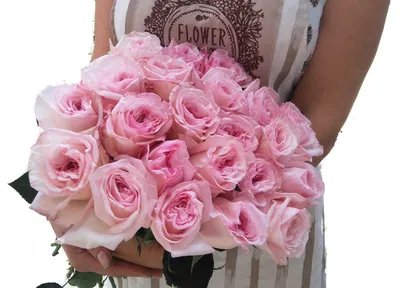 Букет из пионовидных роз Mono Pink O'Hara (19) купить в Москве с доставкой  по цене 9990 руб, бесплатный самовывоз