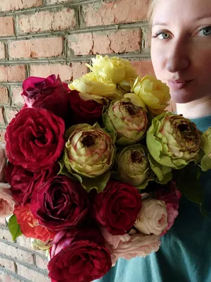 Уважаемые друзья!!! Королева сада, изящная,редкая, неповторимая пионовидная роза  Питахайя , что может быть красивей этой розы !? Роза… | Instagram
