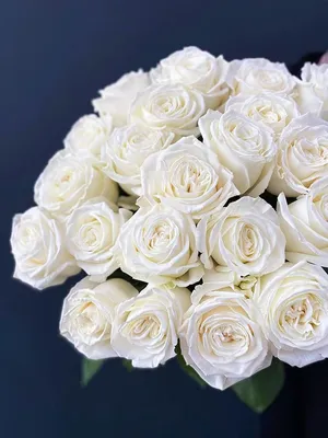 Купить Белые розы Плайя Бланка 60 см в Краснодаре