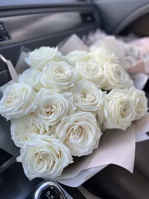 Купить розы Плайя Бланка (Playa Blanca) в Екатеринбурге в интернет-магазине  «Цветочная Лавка»