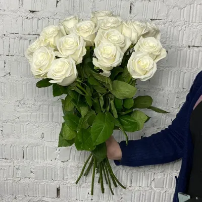 Роза «Плайя Бланка» – розы с доставкой по Москве и Московской области