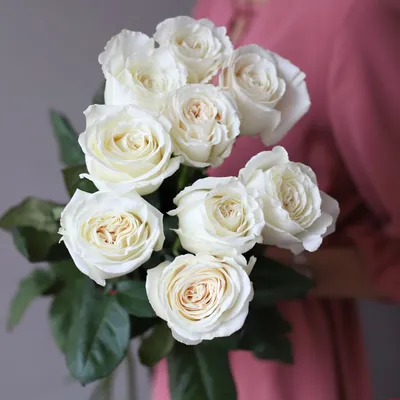 Купить коллекция «апрель». шикарный букет из 151 розы плайя бланка №5740  94800 руб, 14 февраля
