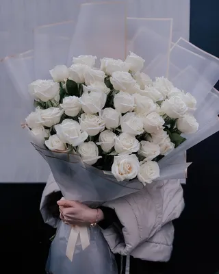 Белые пионовидные розы Плайя Бланка