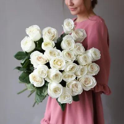 Роза \"Плайа Бланка\" - цена, купить цветы упаковками с доставкой в Москве -  магазин ПРОСТОЦВЕТЫ