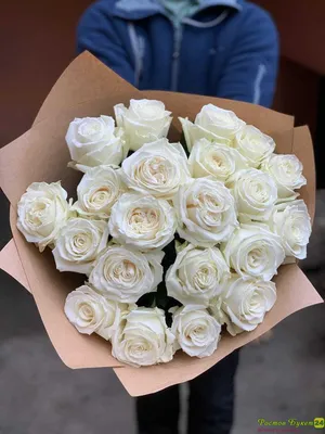 Купить белые розы Плайя Бланка в СПб ✿ Оптовая цветочная компания СПУТНИК