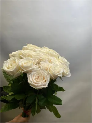 Букет из 9 ярко-белых садовых роз Плайя Бланка (02165) купить с доставкой в  Архангельске