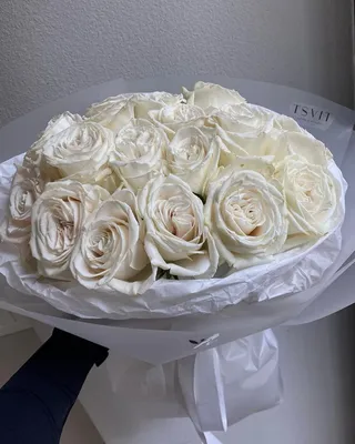 Букет из 21 ярко-белой садовой розы Плайя Бланка (02159) купить с доставкой  в Архангельске