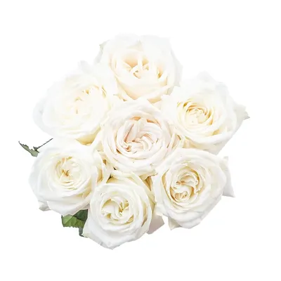 Букетная мастерская Floris - Расскажу вам ещё раз про розу.🥀 Вот смотрите,  есть задача: \"нежный белый букет\" Можно сделать моно-букет только из одного  сорта, а можно красивый сборный. В этом букете три