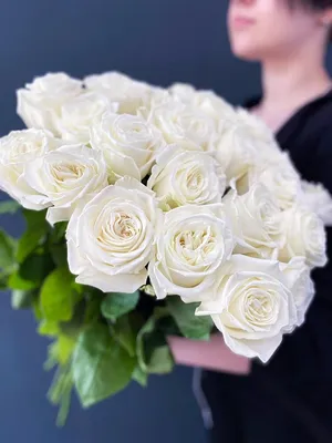 Роза садовая ярко-белая Плайя Бланка 60 см (00563) купить поштучно с  доставкой в Архангельске