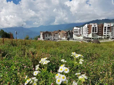 ТОП 20 отелей на курорте Роза Хутор с видом на горы
