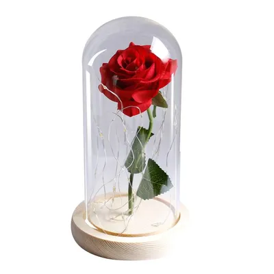 Роза в колбе в подарочной коробке -долговечная(в стекле)под куполом(колпаком)из  Красавица и Чудовище The One Rose | Купить с доставкой в интернет-магазине  kandi.ru