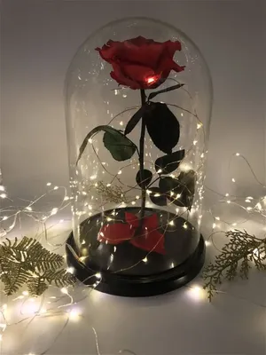 Роза под колпаком на стеклянном …» — создано в Шедевруме