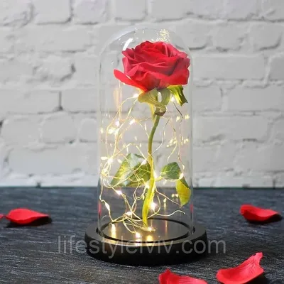 Цветок в колбе с LED подсветкой (большой) / Вечная роза под куполом  (ID#1682743017), цена: 570 ₴, купить на Prom.ua