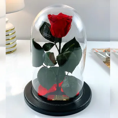 Роза в колбе M, в форме сердца (25 см выс. / 15 см шир.) цена | pigu.lt