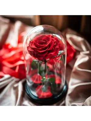 Розы в колбе TRIO DELUXE- долговечные розы (в стекле) под куполом (колпаком)из  Красавица и Чудовище The One Rose | Купить с доставкой в интернет-магазине  kandi.ru