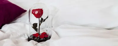 Роза в колбе под стеклянным куполом с LED. подсветкой Rose of Love 16 см  Красная (ID#1520881006), цена: 649 ₴, купить на Prom.ua
