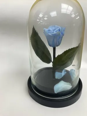 Розы под стеклянным колпаком на …» — создано в Шедевруме