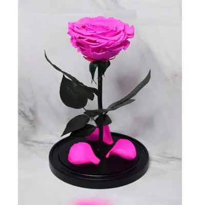 Роза под куполом | Creative diy gifts, Flowers, Glass crafts