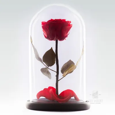 Кустовая роза под стеклянным колпаком…» — создано в Шедевруме
