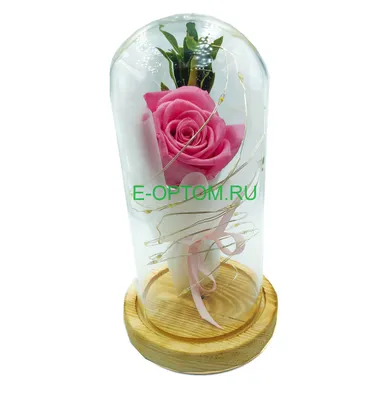 Вечная роза в колбе прозрачная с диодной LED подсветкой большая Роза под  стеклянным куполом: продажа, цена в Одессе. Искусственные цветы и ветки от  \"KiWi (подарки и декор для дома)\" - 1338697959