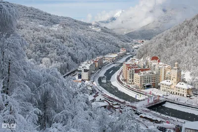 Розы под снегом: этой ночью в Брест пришла зима | Новости Беларуси |  euroradio.fm
