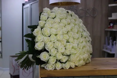 Роза Polarstern: описание, фото, отзывы — RoseCatalog.ru