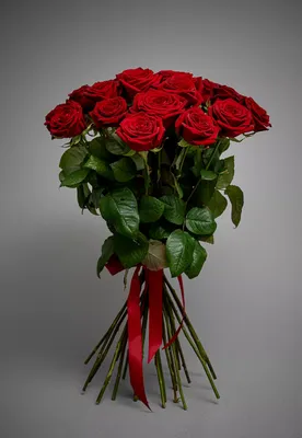 Роза Red Naomi - Купить цветы в Минске | DI-Flowers.by