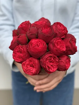 Розы «Red Piano» в шляпной коробке за 5120 ₽ с доставкой по Москве